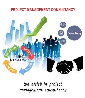 project-consultancy1.jpg